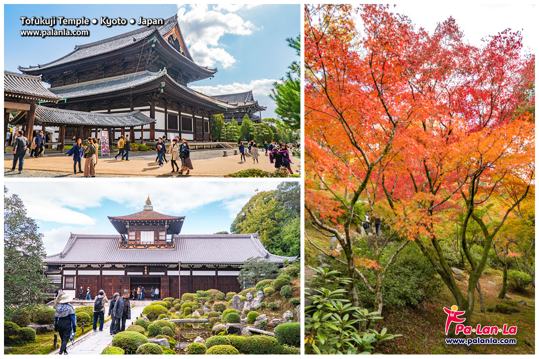 Top 25 Travel Destinations in Kyoto